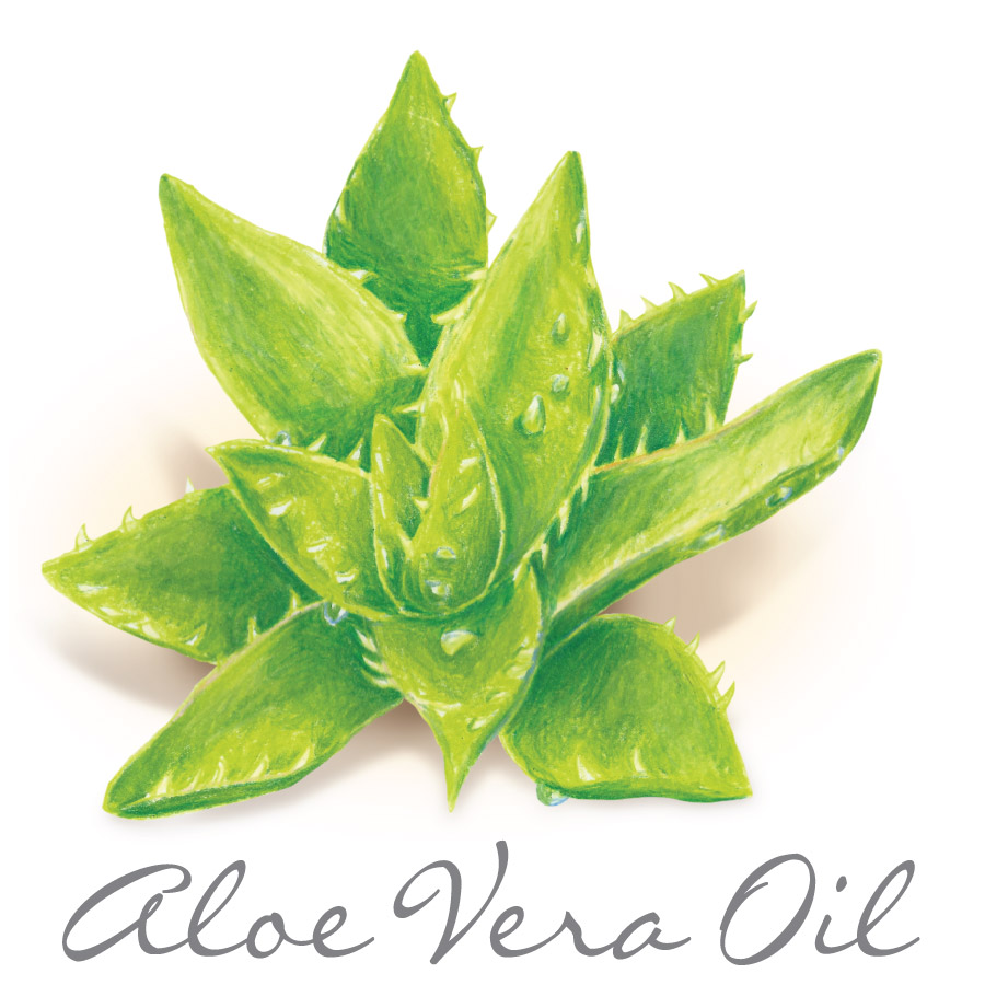 aloe vera oil
