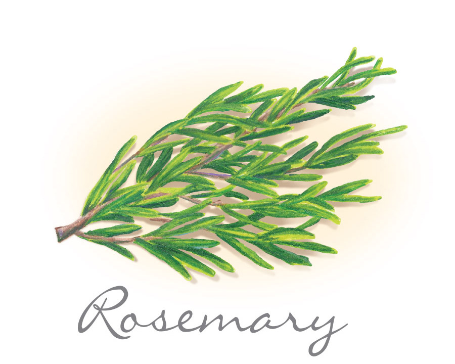 rosemary