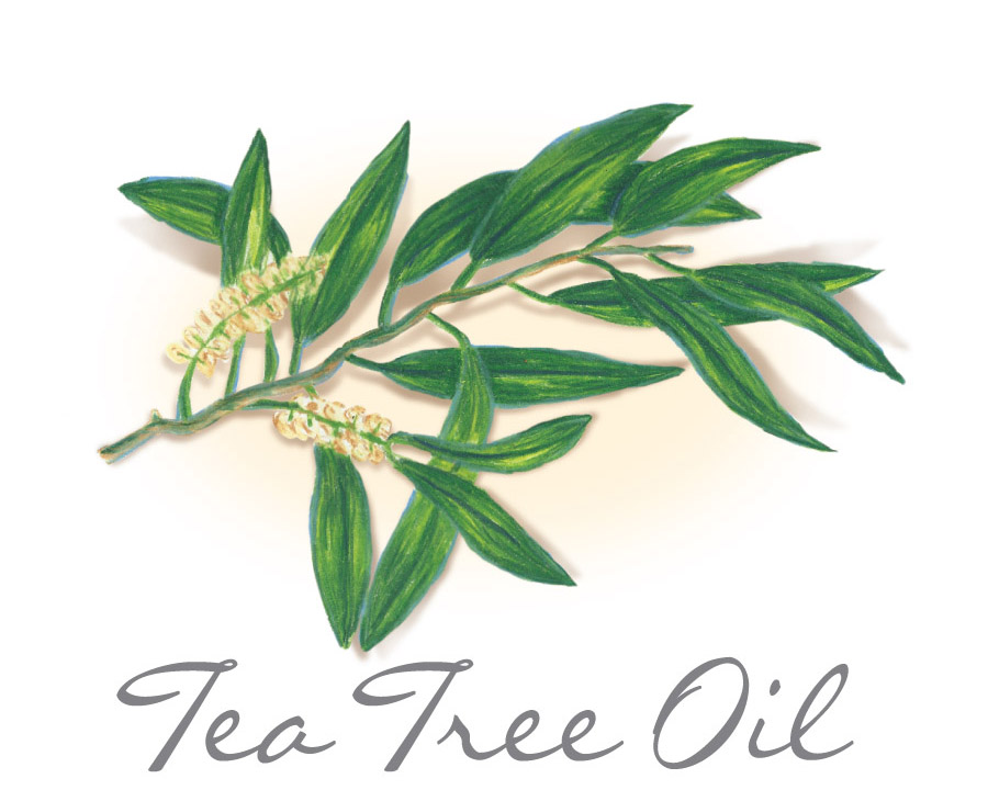 tea tree oil